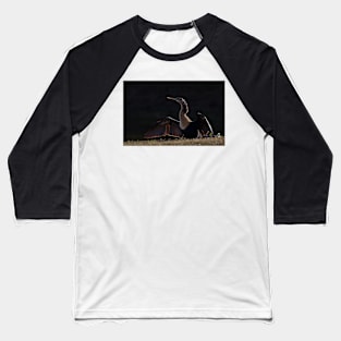 Bathing in the light - Anhinga Baseball T-Shirt